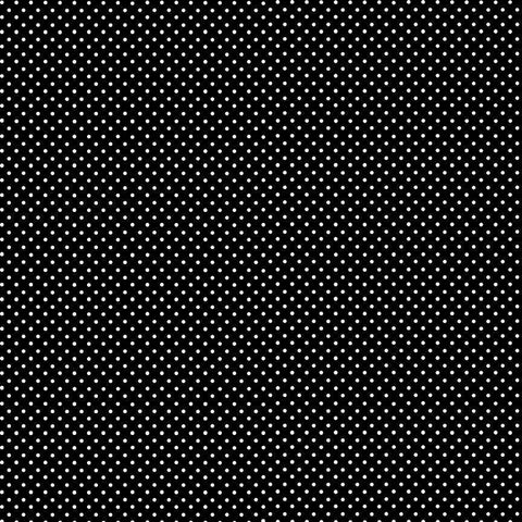 White on Black - Spot on - 100% cotton - Makower